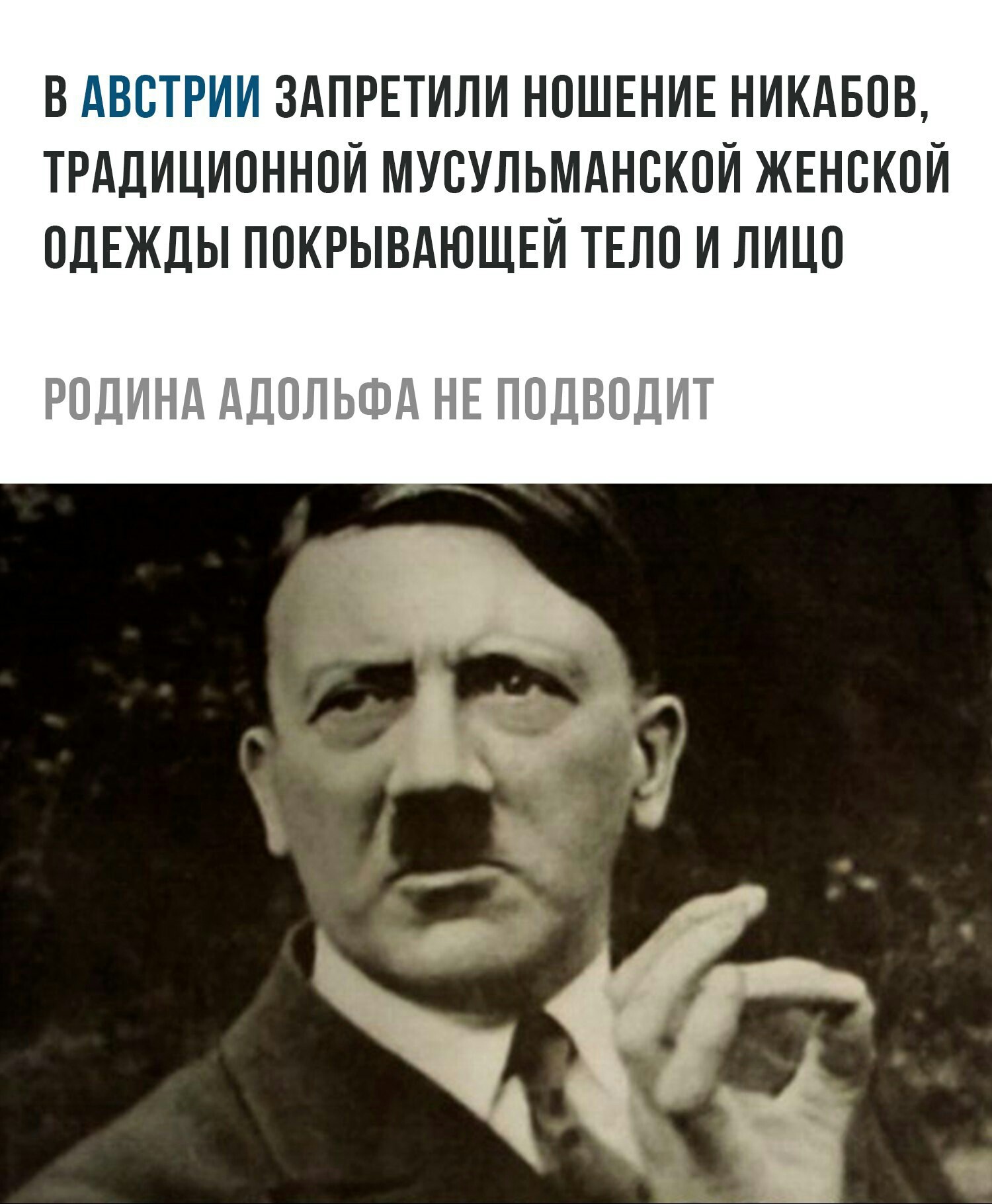 В Печь Гитлер Мем