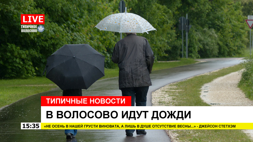 Typical news from Volosovo - My, news, Volosovo, , Leningrad region