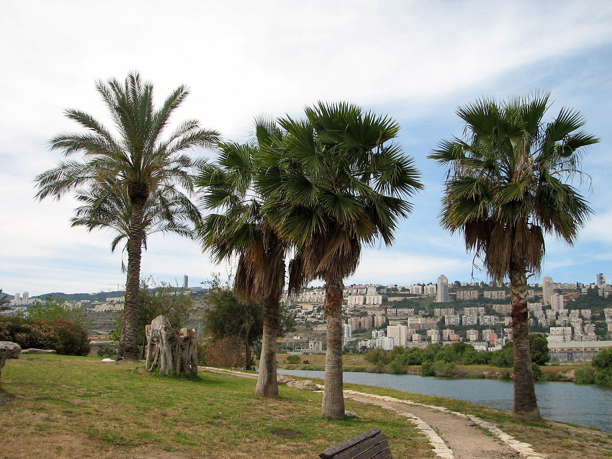 Поход  в  Хайфе  ,  Израиль - Моё, Haifa, Израиль, Rusisrael, Поход в Хайфе, Длиннопост