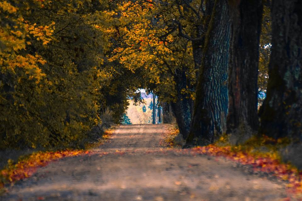 Autumn in the Baltic States - Sigulda - My, Sigulda, Latvia, Autumn, , Longpost