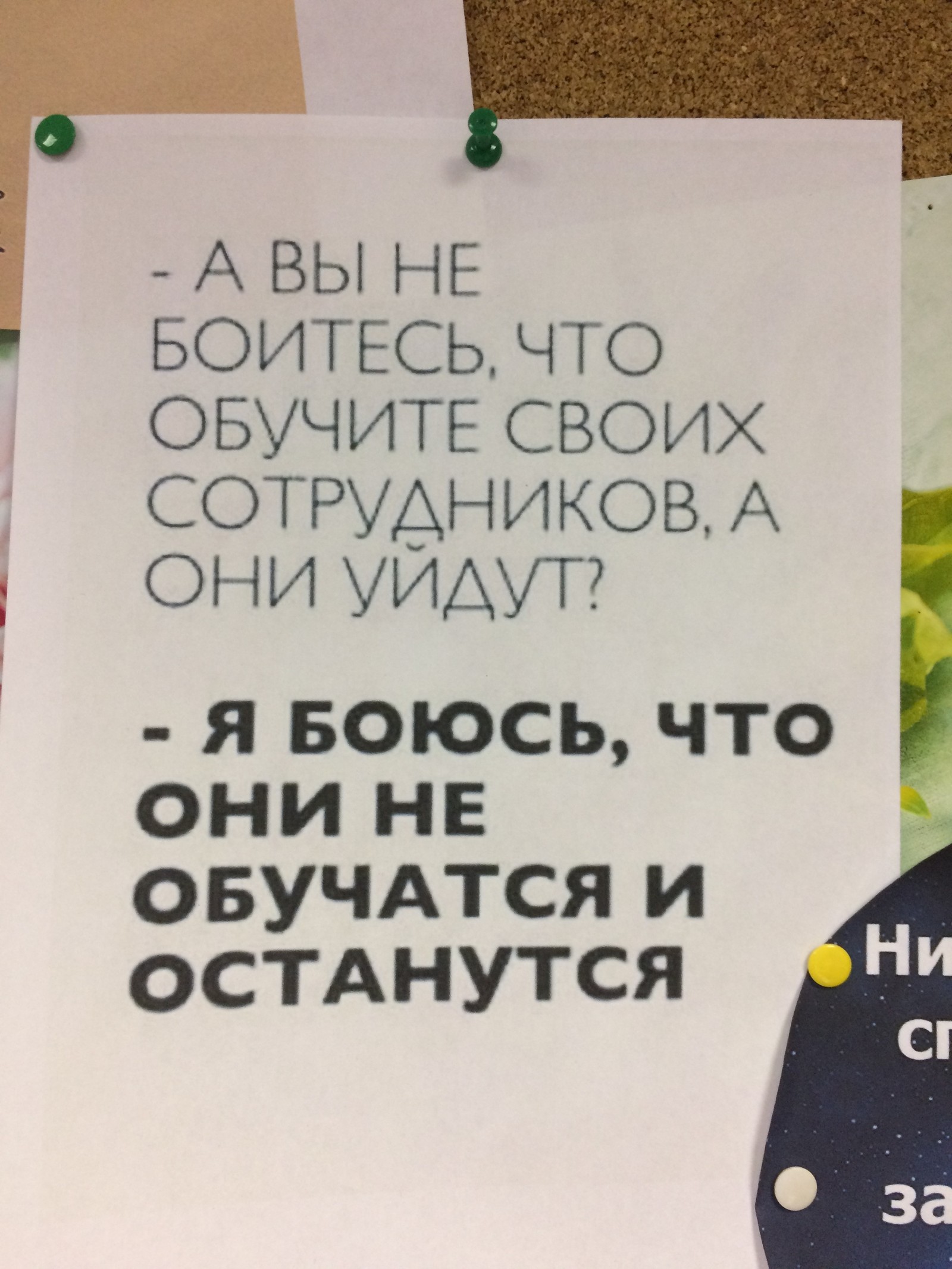 Роль бизнес-тренера в компании - Моё, Обучение, Бизнес-Тренинг, Бизнес-Тренер, Длиннопост