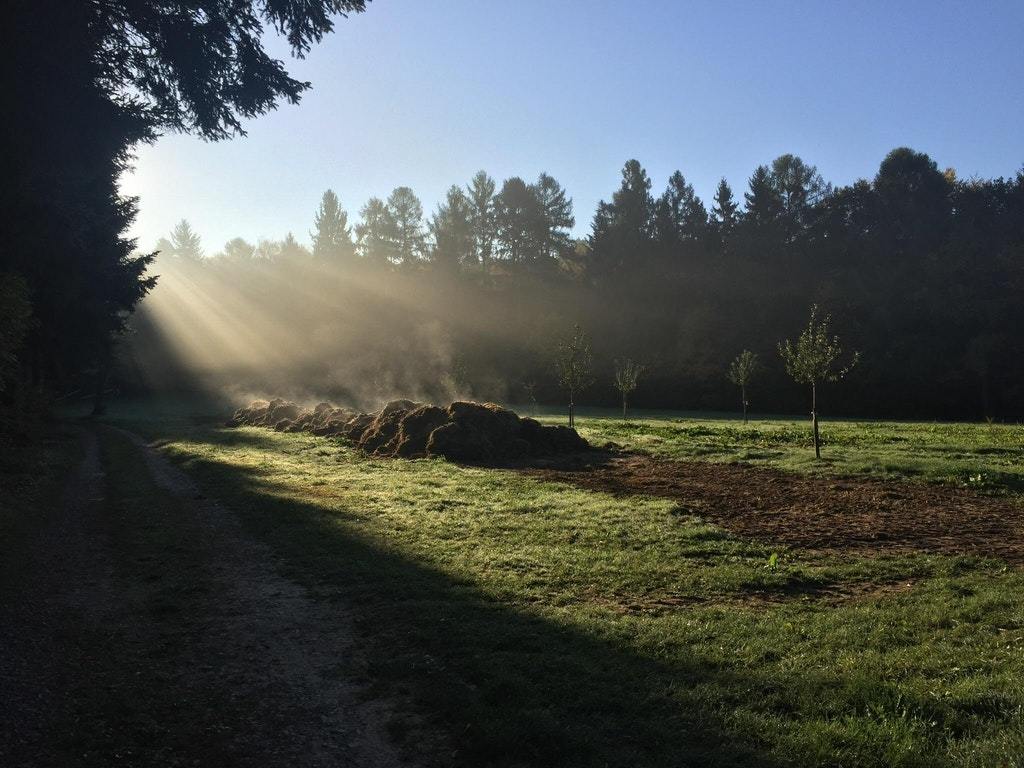 I've seen all sorts of shit in my life, but this is wonderful - The photo, Landscape, Сельское хозяйство, Manure, Some shit