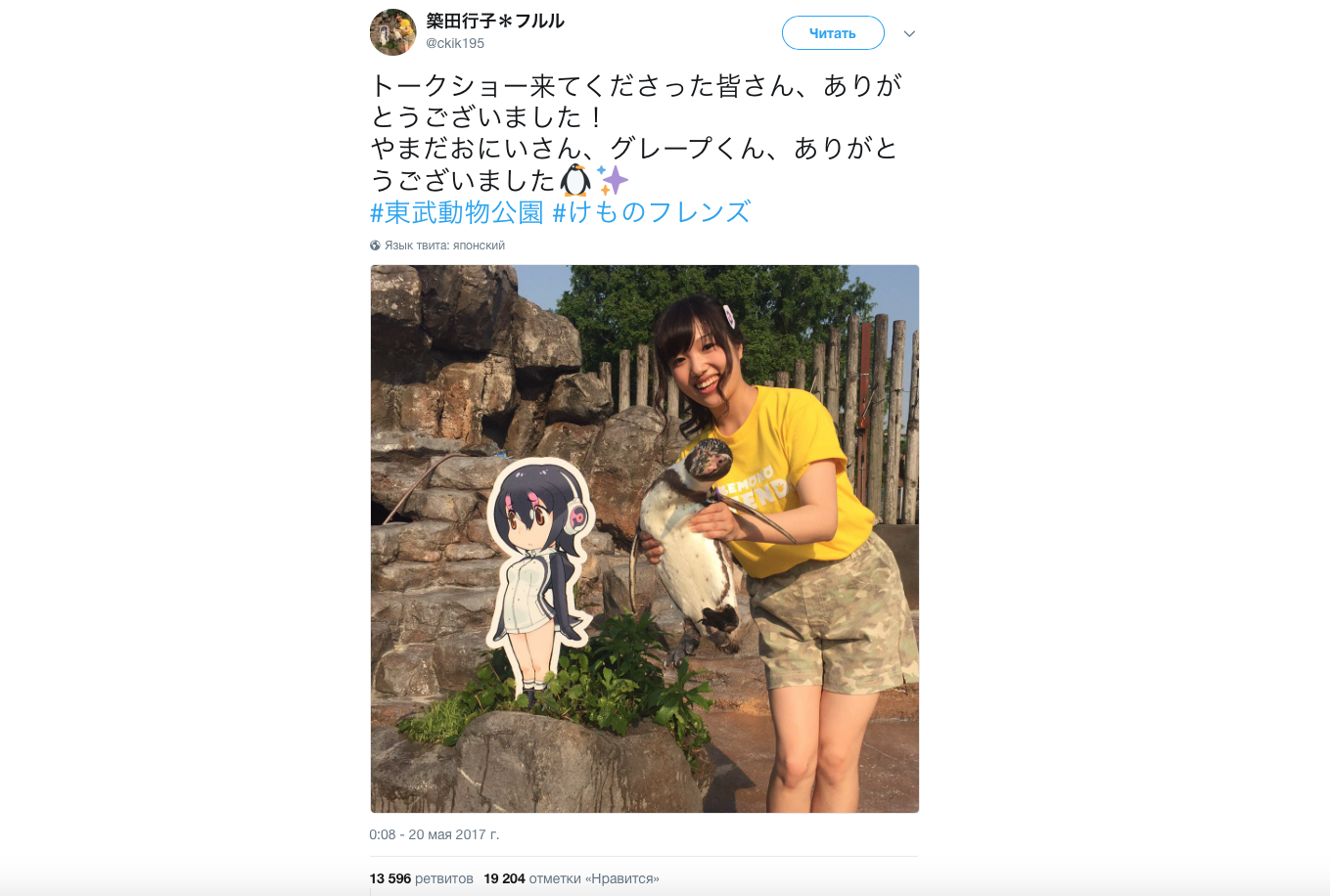 In Japan, a lonely penguin fell in love with an anime girl - My, Dmitry Shamov, Japan, Penguins, Love, A life, Video, Longpost