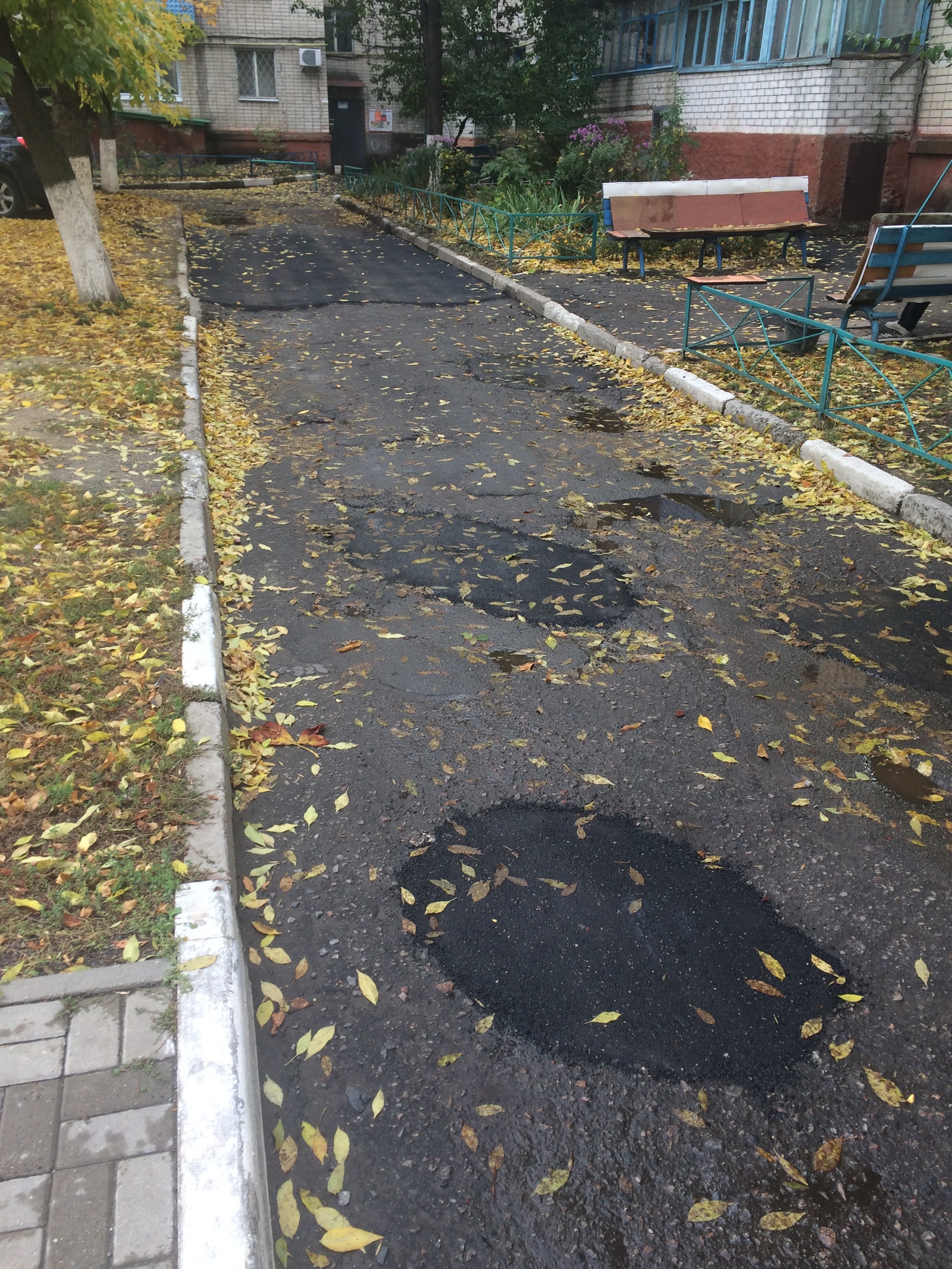 Новый асфальт | Пикабу