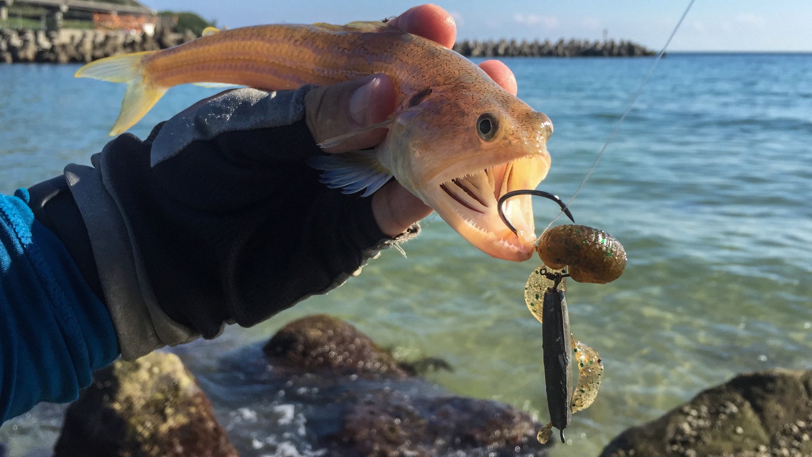 Каменная рыбалка. - Моё, Рокфишинг, Рыбалка, Rockfishing, Ящероголов, Морской окунь, Lizardfish, Mefik, Видео, Длиннопост