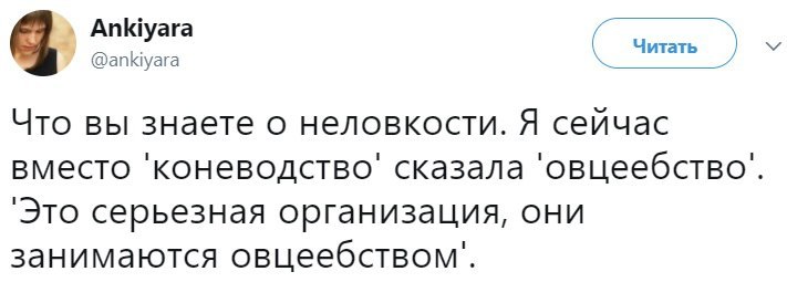 Неловкость - Неловкость, Овцееб, Не овсеев, Привет читающим теги