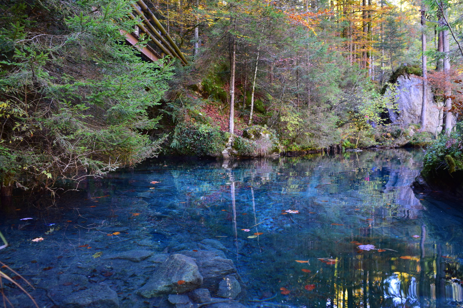 Blausee, Switzerland - My, The photo, Nature, Travels, Switzerland, Lake, Longpost