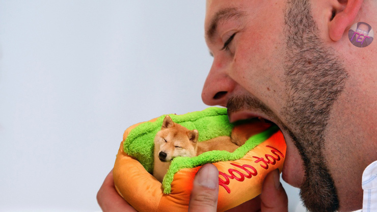 hot doggy - Photoshop, Dog, Hot Dog