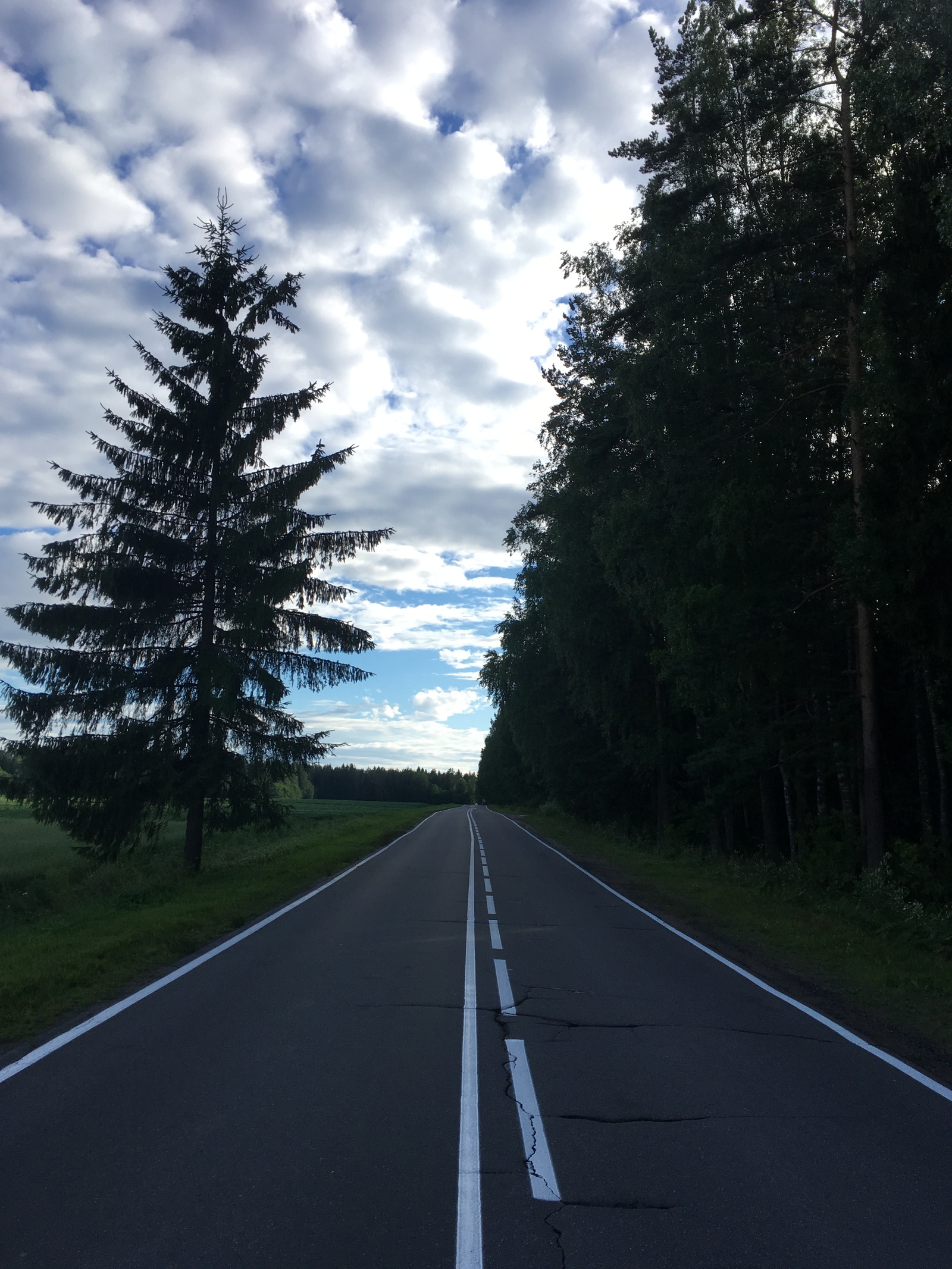 Road - My, Road, Forest, Sky, Clouds