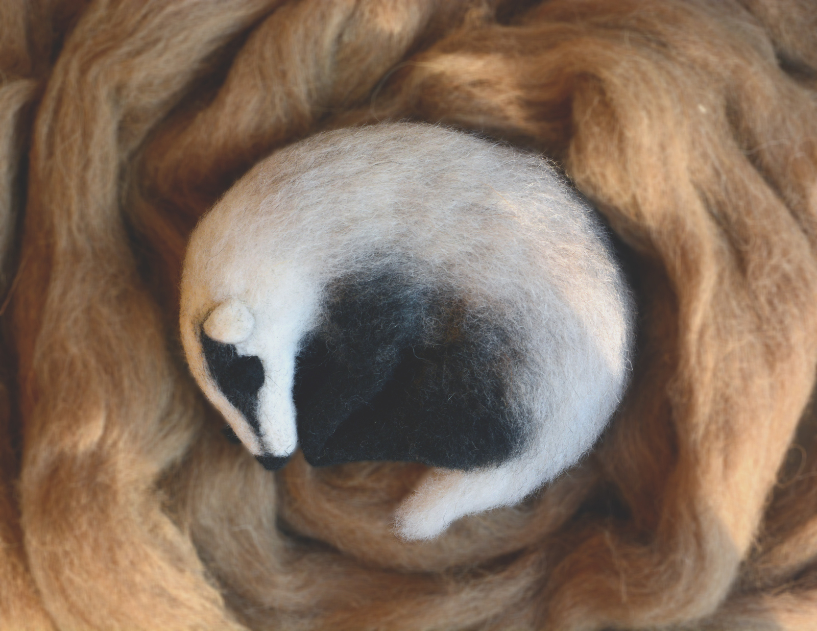 Wool badger - My, Wool, Felt, Dry felting, Badger, Needlework without process, Longpost