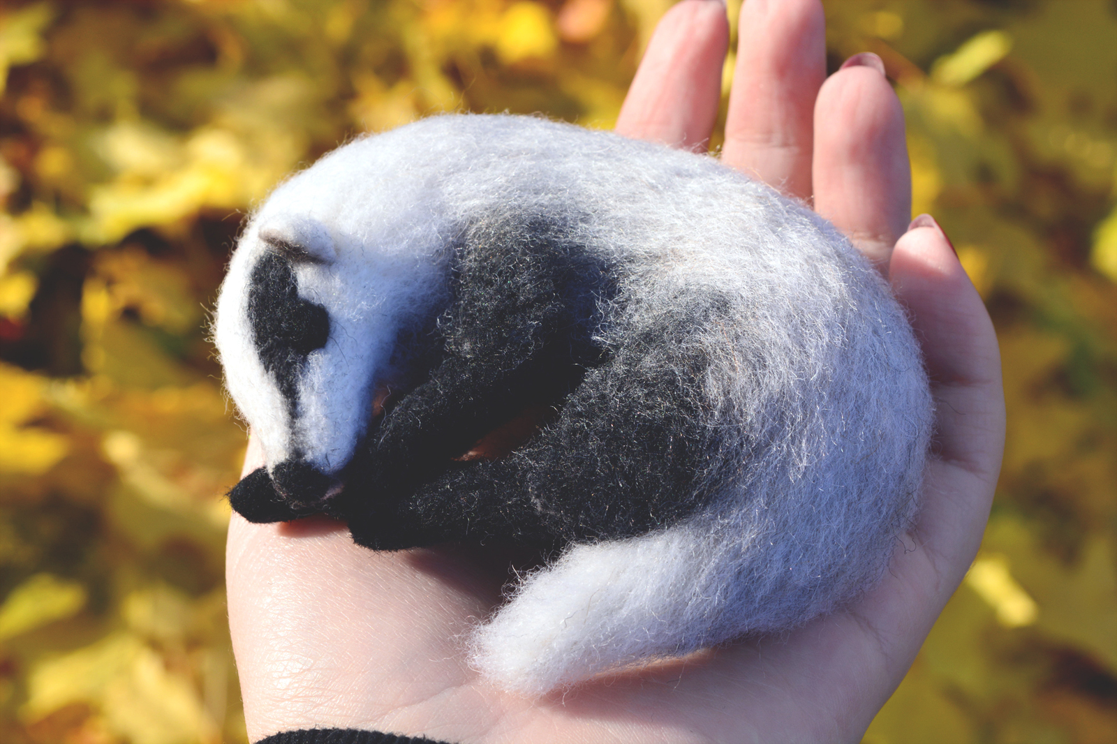 Wool badger - My, Wool, Felt, Dry felting, Badger, Needlework without process, Longpost