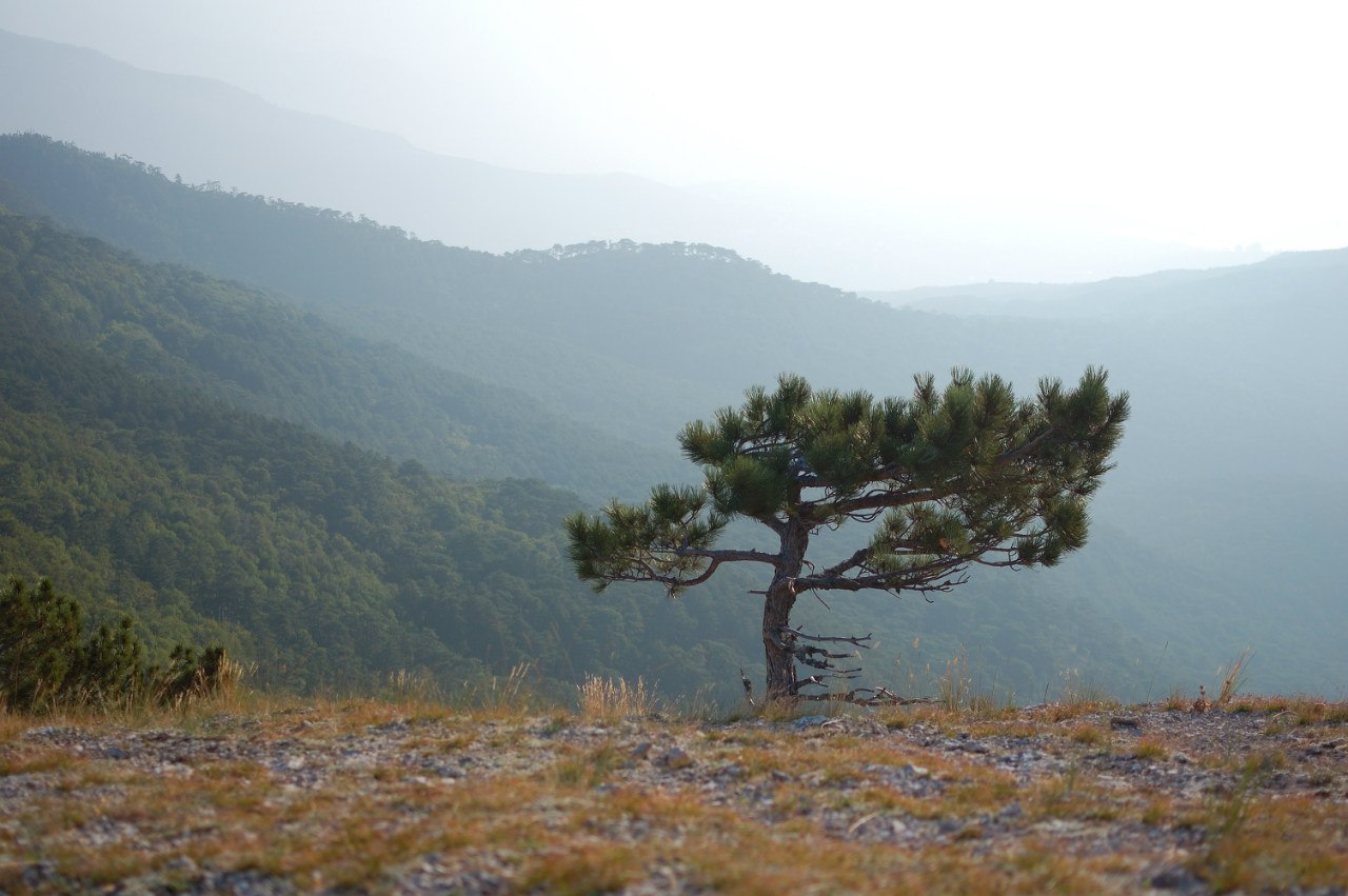 A photo. - My, Crimea, Longpost, The photo, Nikon