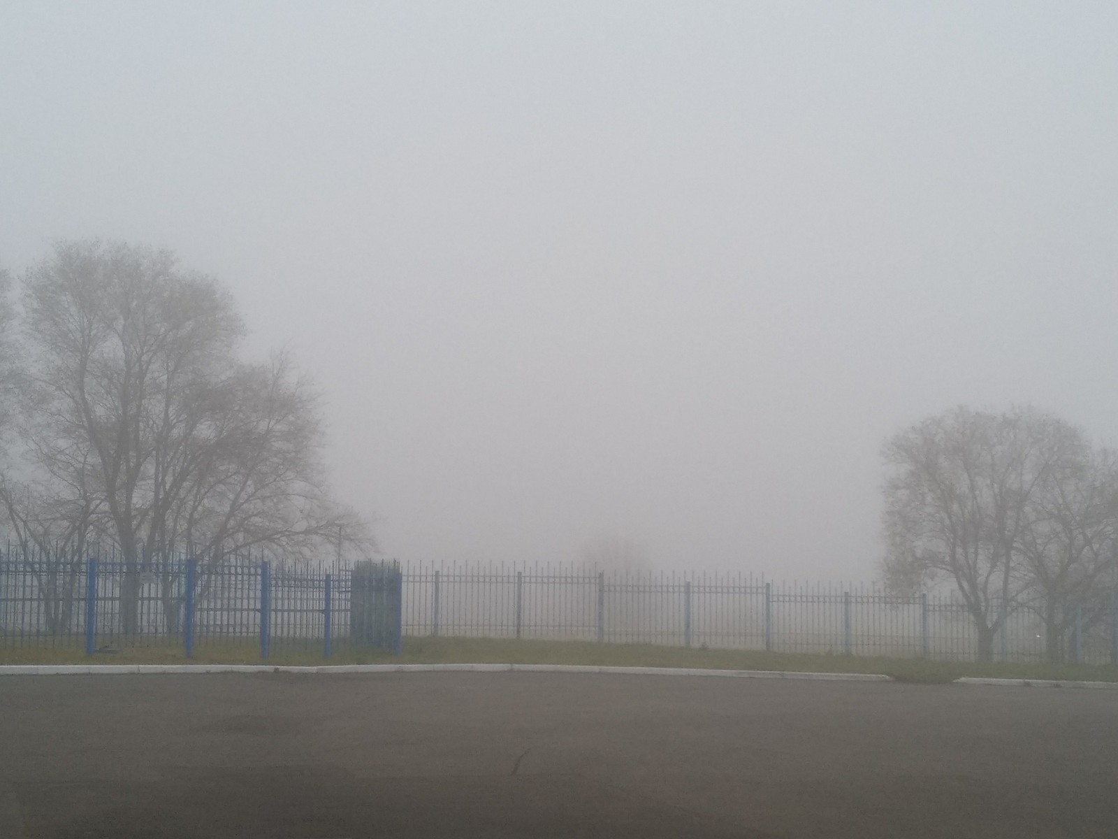 Are there zombies???? - My, Fog, Siberia