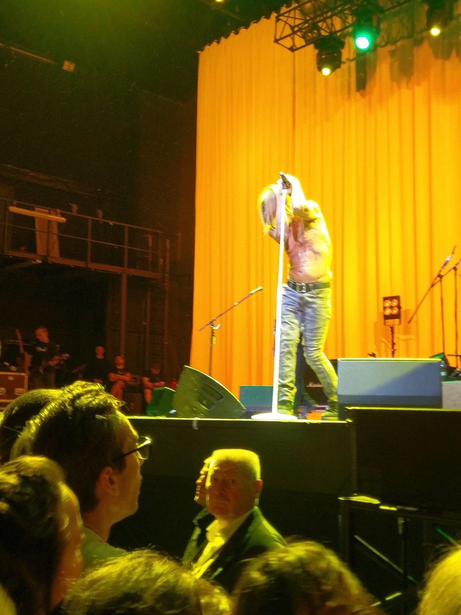 passion for life - NSFW, My, Iggy Pop, Moscow, , Concert, Rock, Longpost