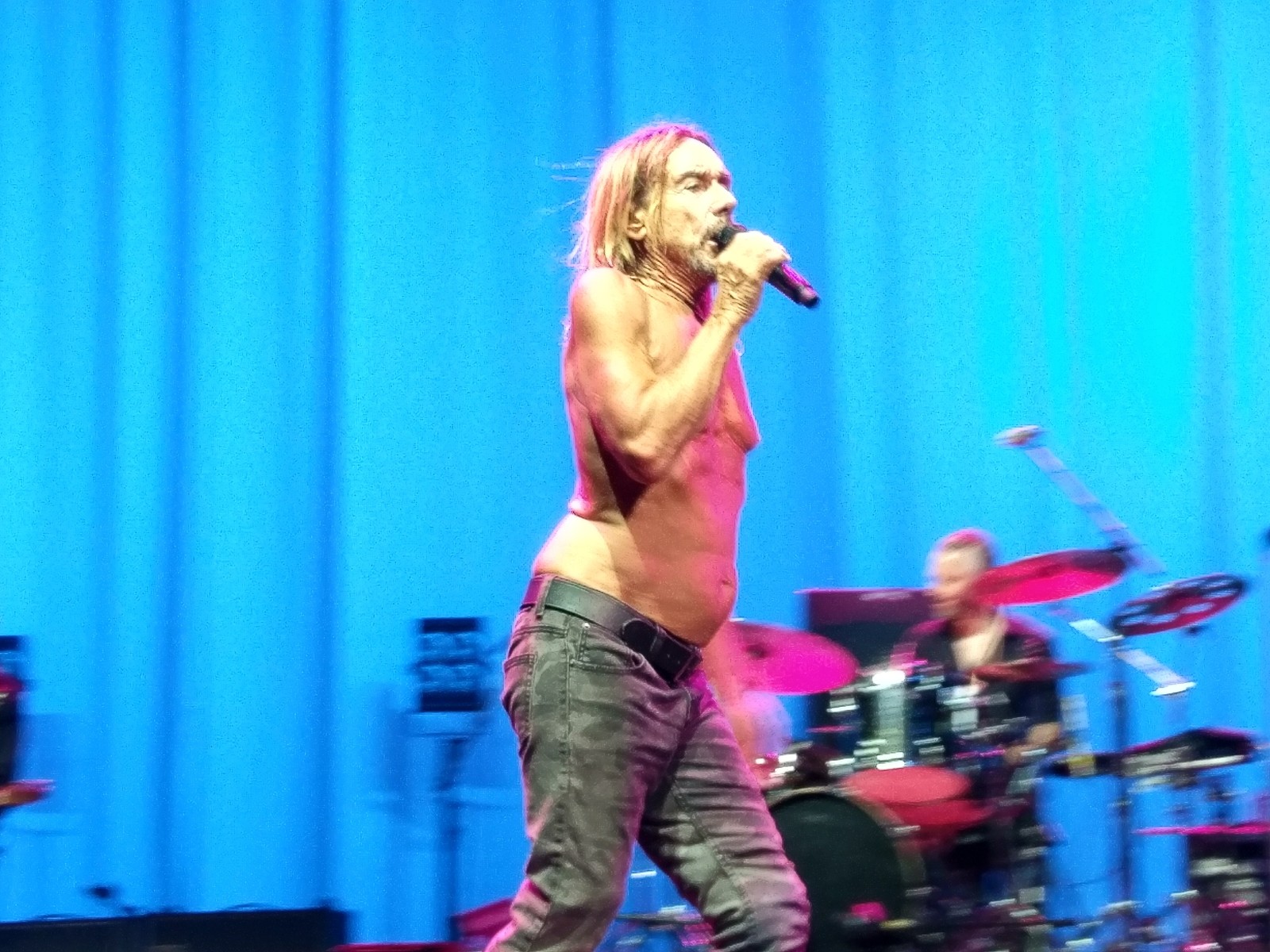 passion for life - NSFW, My, Iggy Pop, Moscow, , Concert, Rock, Longpost