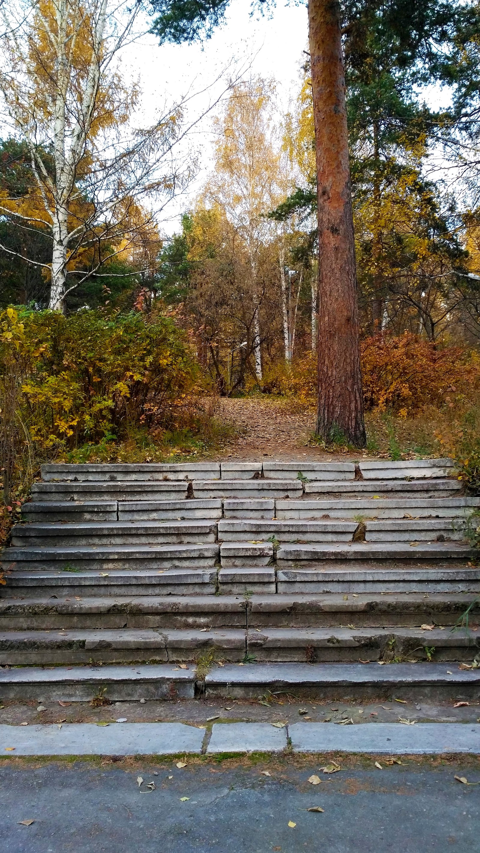 Mid autumn. - My, Yekaterinburg, , Walk, Mayakovsky Park, Autumn, The photo, Longpost