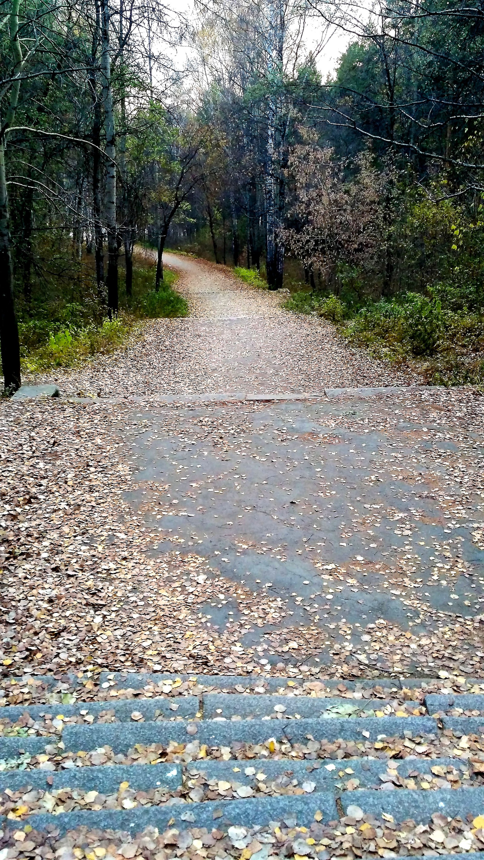 Mid autumn. - My, Yekaterinburg, , Walk, Mayakovsky Park, Autumn, The photo, Longpost