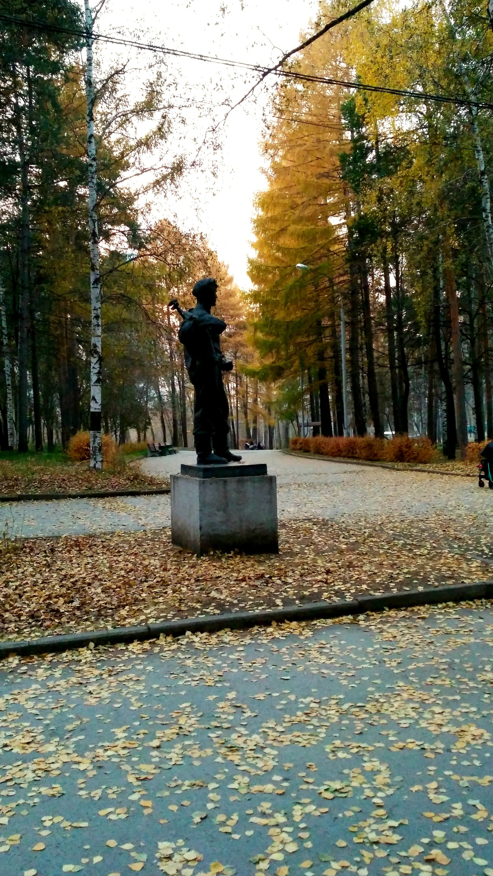 Mid autumn. - My, Yekaterinburg, , Walk, Mayakovsky Park, Autumn, The photo, Longpost