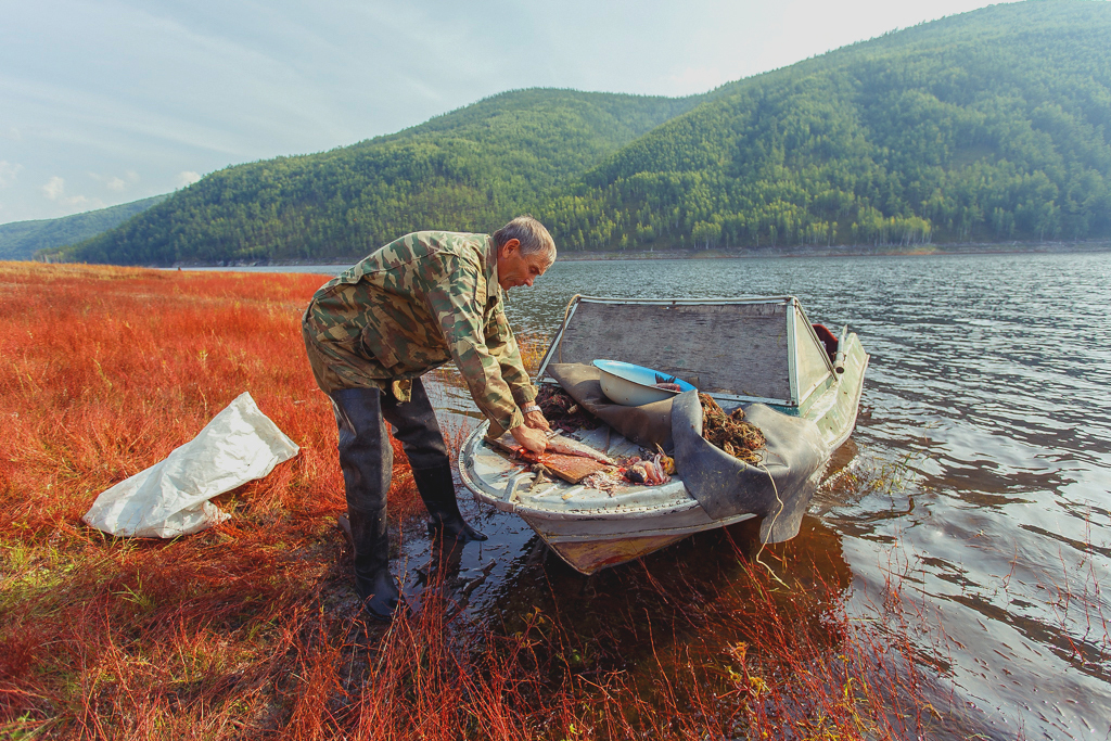 The Zeya Sea in the lens: the dog-talisman Samson, red shores and pike ear - My, Primdiscovery, , Reserves and sanctuaries, The nature of Russia, Longpost