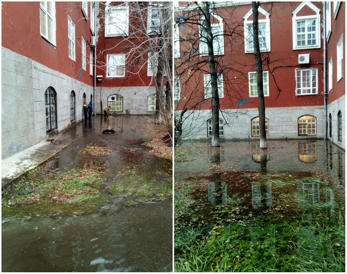 Botanical garden of Perm University flooded in Perm - Permian, Потоп, Utility services, Picture with text, Longpost