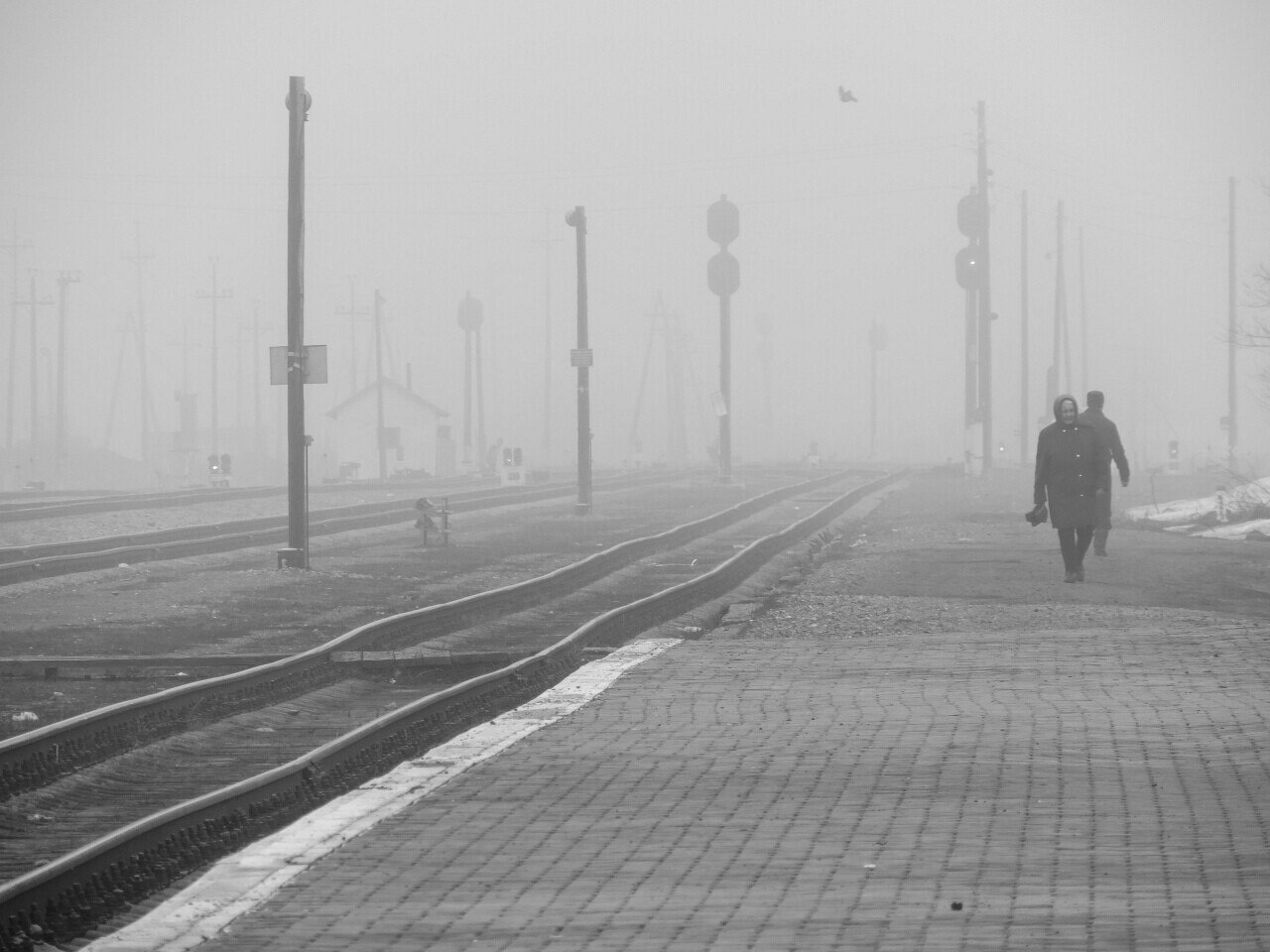 Knock-knock wheels... ZhD-photo-post - My, Derzhavinsk, , Railway, Longpost