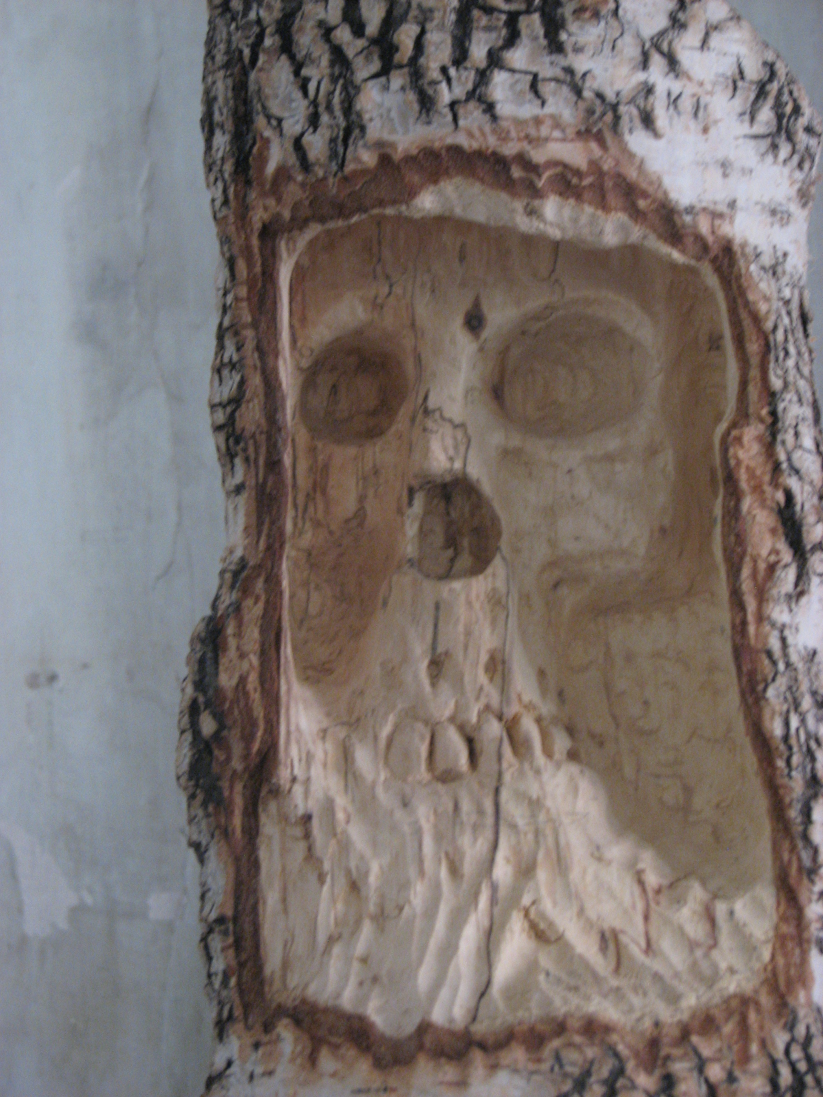 Skull carved from birch. - My, Scull, Wood carving, Longpost