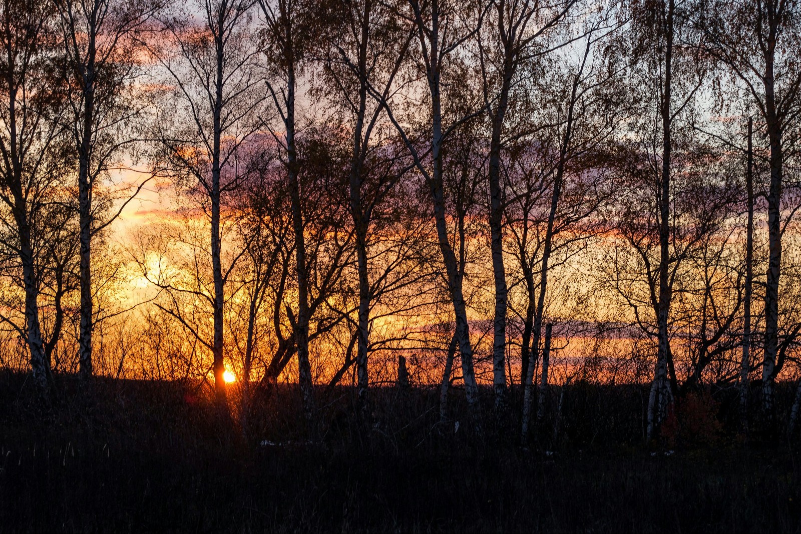 This is how the day ends. - My, The photo, Sunset, Battle of sunsets, Autumn, Longpost