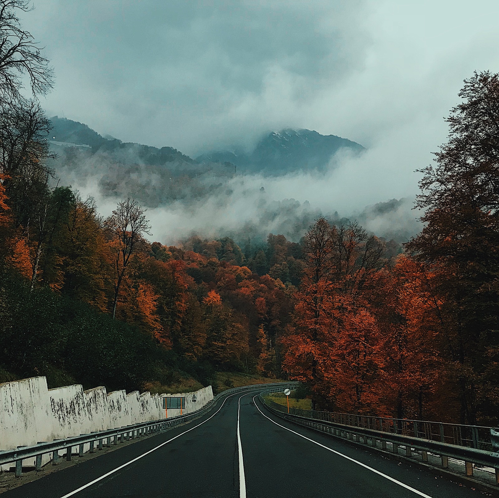 Autumn in Sochi - My, Sochi, Krasnaya Polyana, Autumn, Fog, Longpost