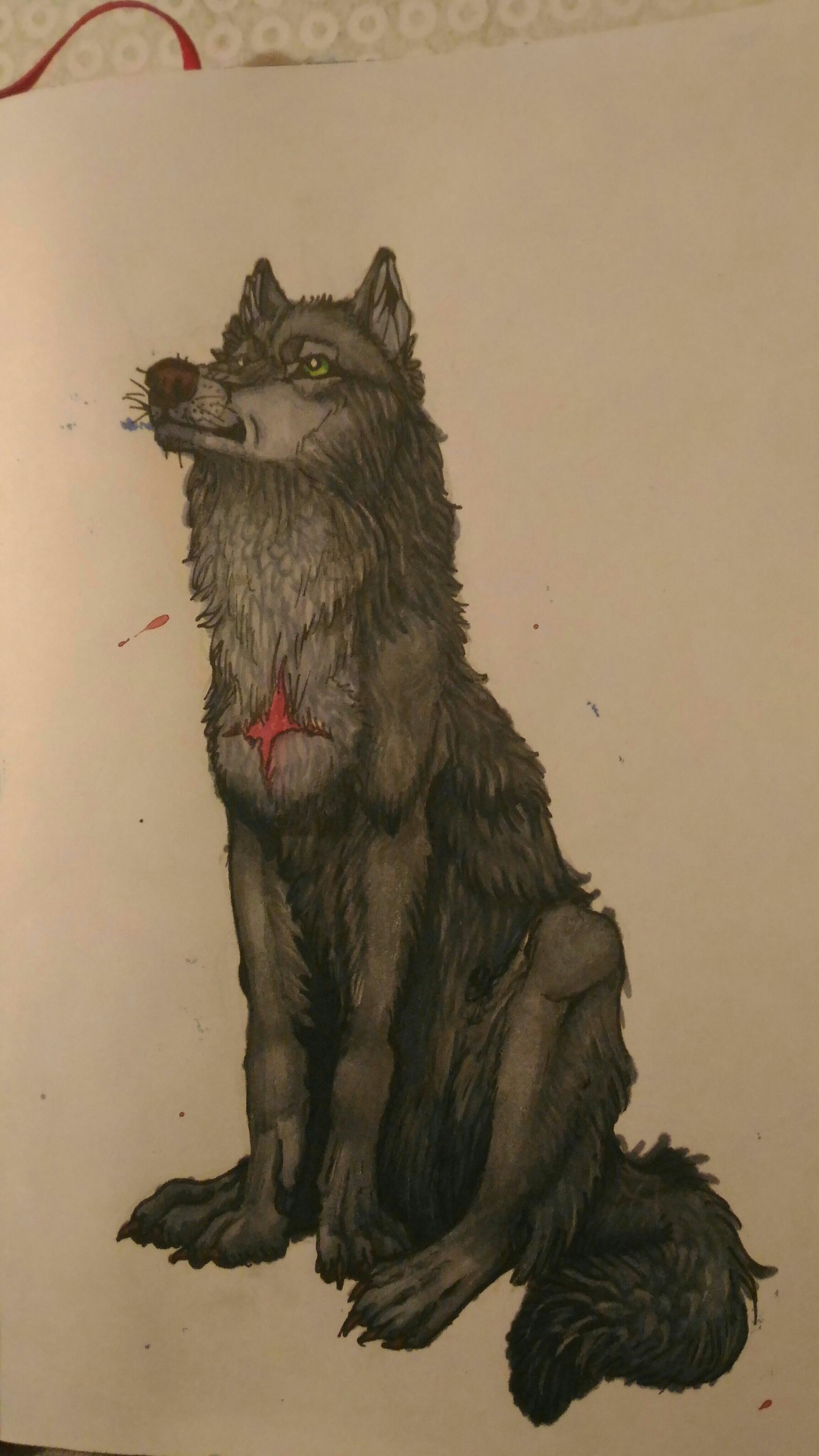 Tsume. - My, Wolf, Drawing, Order, Anime, Longpost