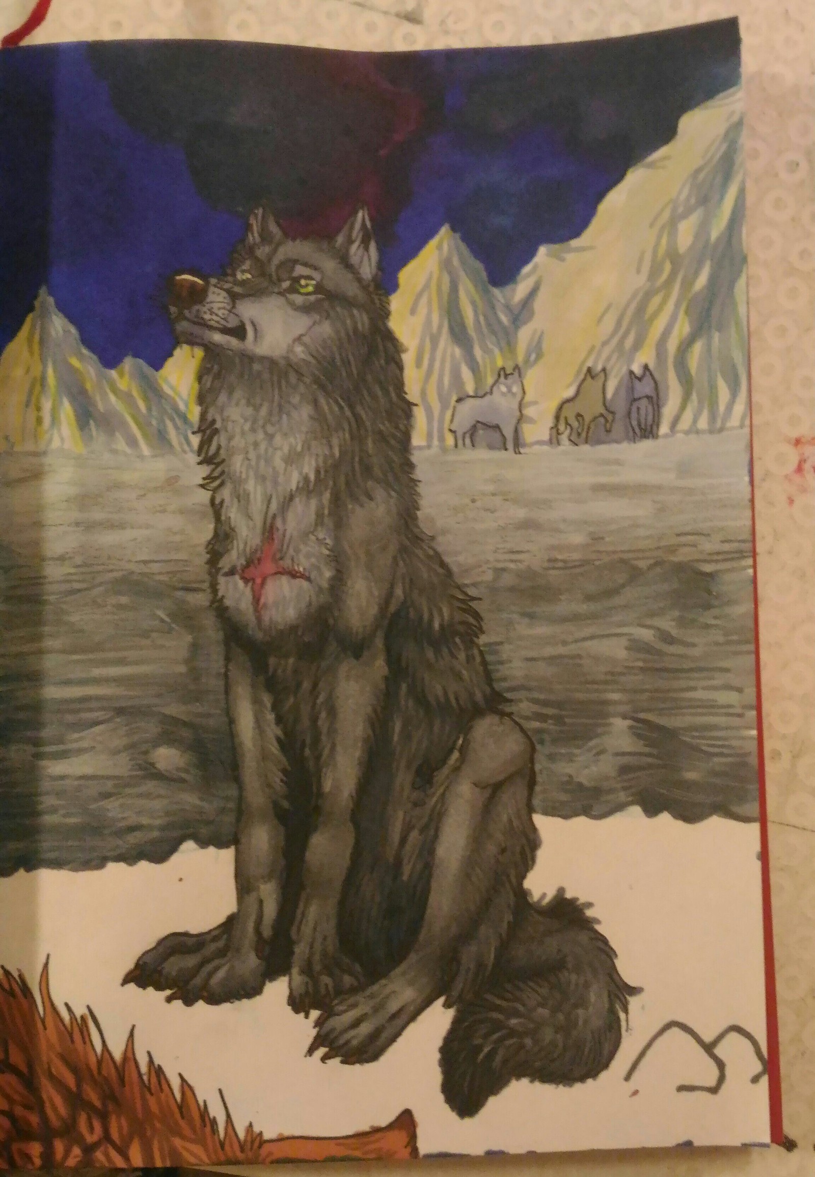 Tsume. - My, Wolf, Drawing, Order, Anime, Longpost