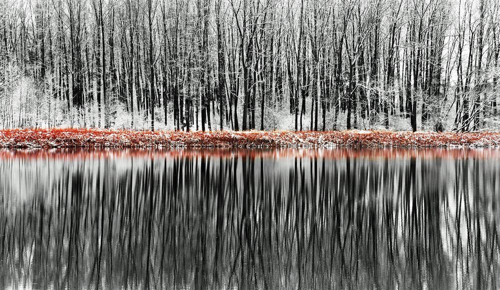 Czech Republic, near Prague - Czech, beauty of nature, Lake, Forest, 