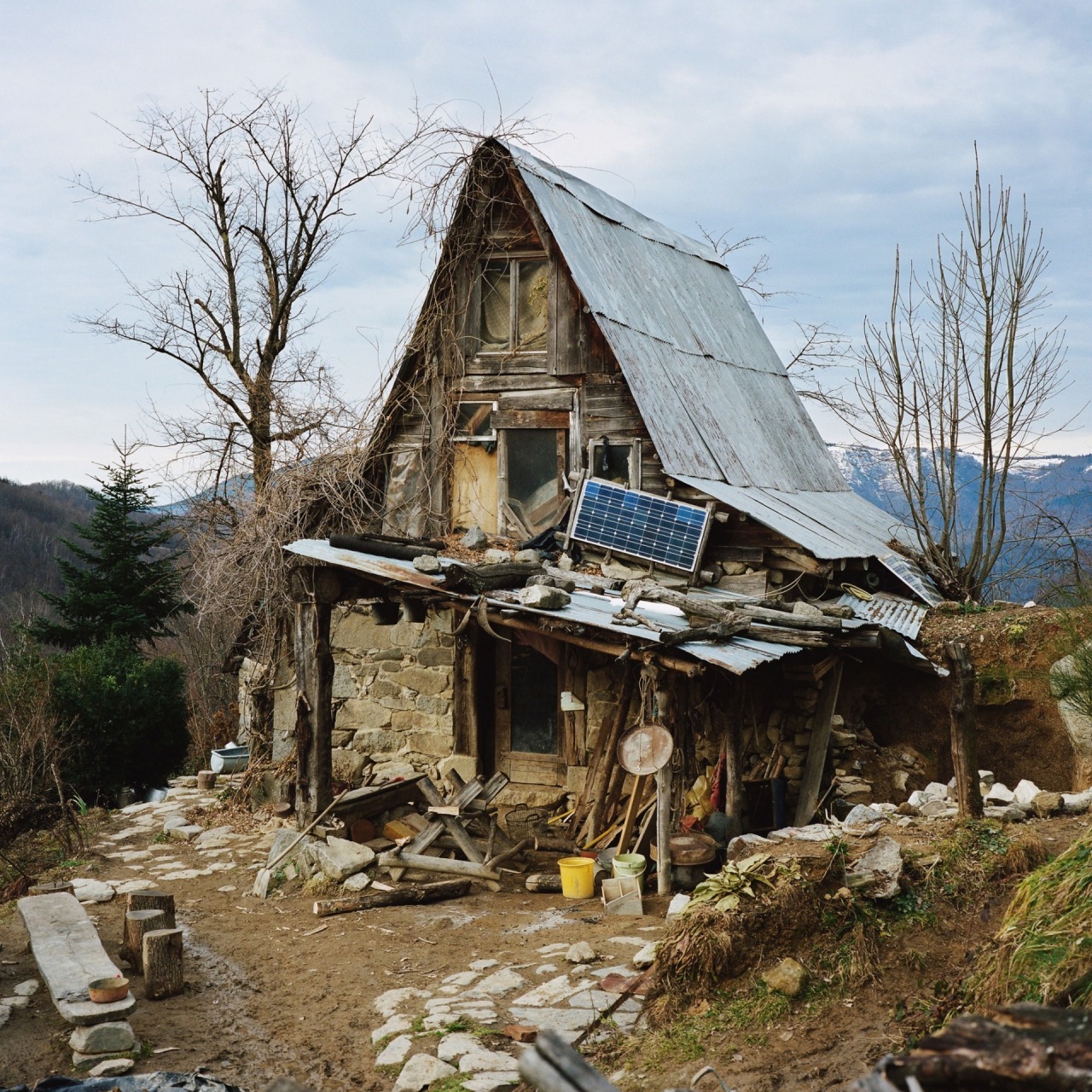 But with a panel - Shed in a woods, Solar panels