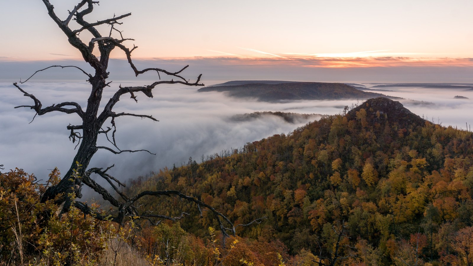 Foggy morning in the Zhiguli mountains - Zhiguli Mountains, Samara Region, The photo, Nature, Landscape, Longpost