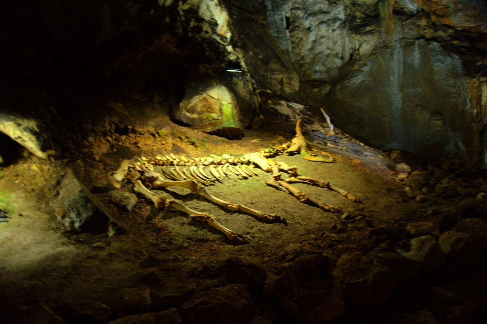 Photos from the caves of Crimea - My, , Crimea, Chatyr-Dag, Caves, Speleology, The photo, Longpost