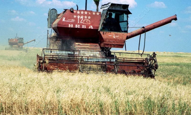 About the horses of the apocalypse or how once upon a time, I worked as a combine operator - My, My, Longpost, Combine harvesters, , Rural life, Tag