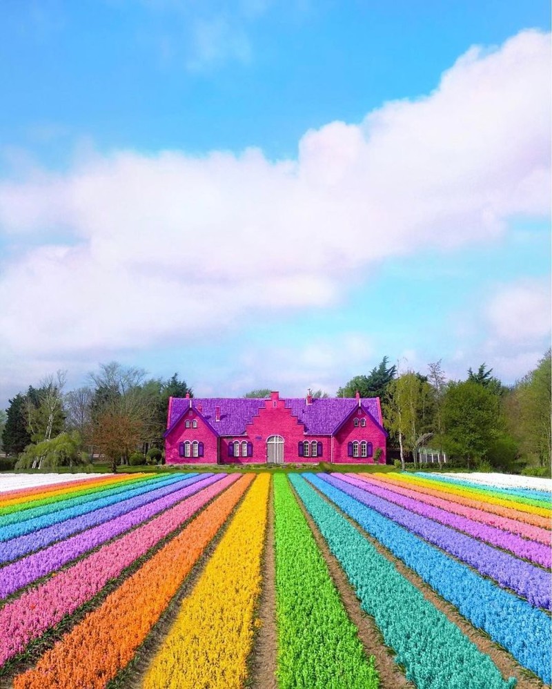 New York artist makes the world a rainbow - The photo, Paints, Rainbow, Photographer, Longpost