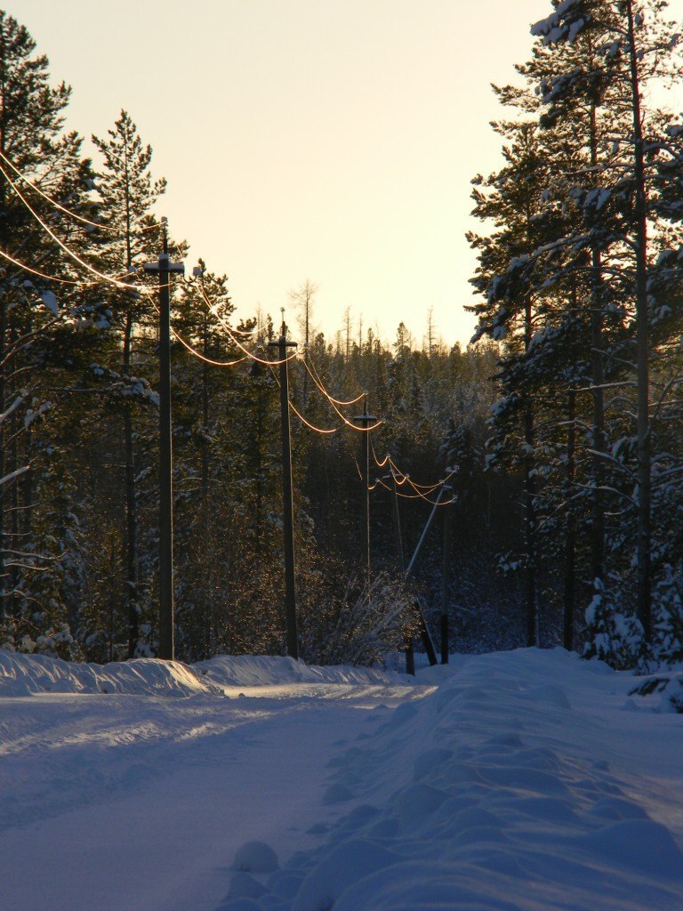 Nadymsky district, 2013-2016 - My, Nadym District, Nadym, Nature, Forest, Winter, Autumn, Landscape, Longpost