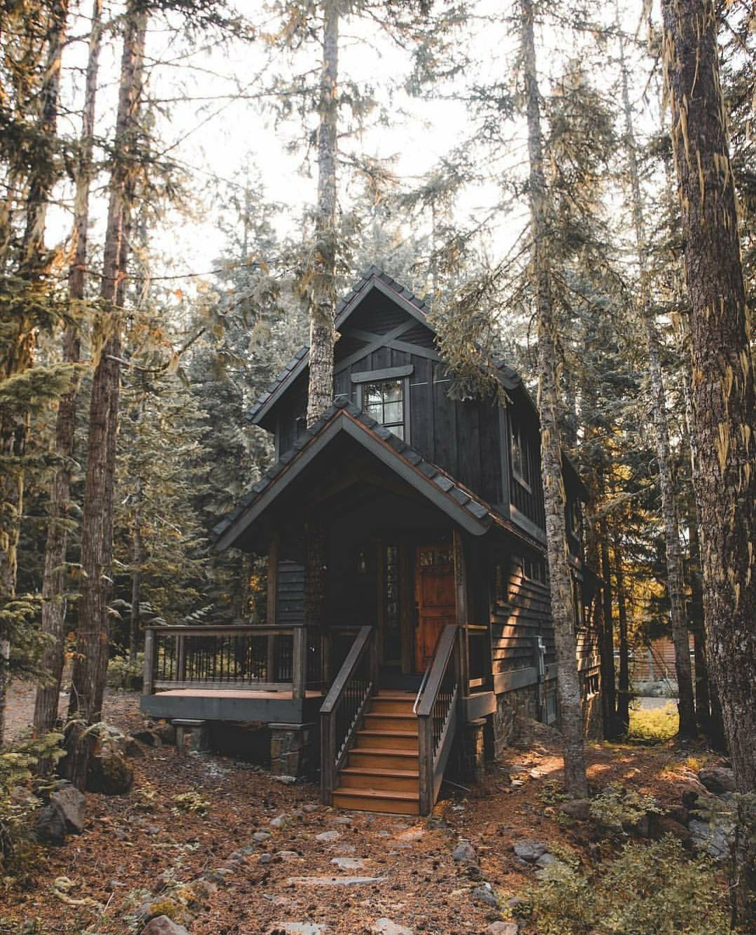 House in the woods - House, Forest