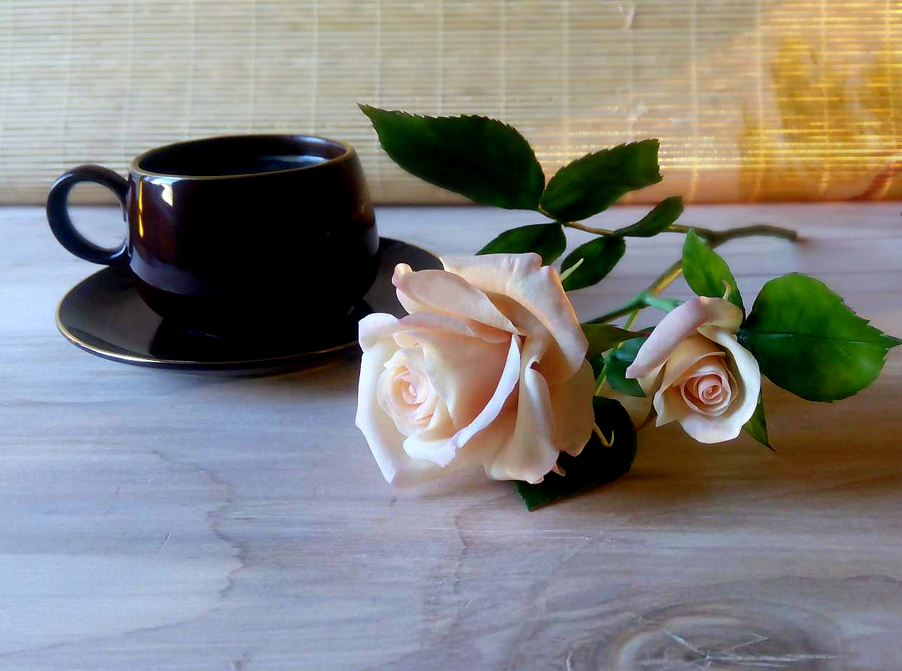 Creamy handmade rose - My, , Polymer clay, , Needlework without process, Cold porcelain, Needlework, Longpost