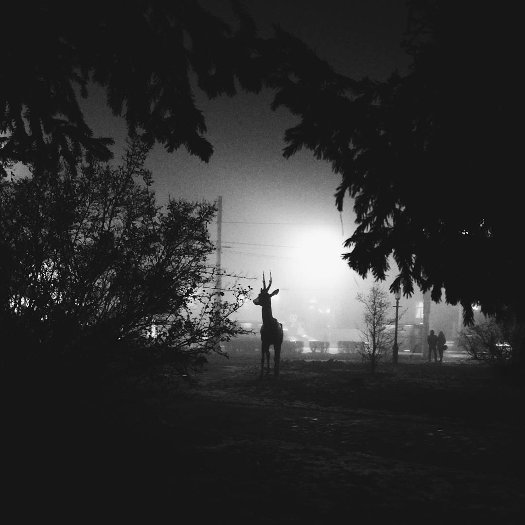 Omsk plunged into the fog and became even more epic! - Omsk, Fog, Silent Hill, , welcome, Longpost