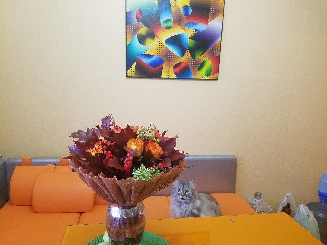 The cat did not appreciate - cat, Bouquet, Xs