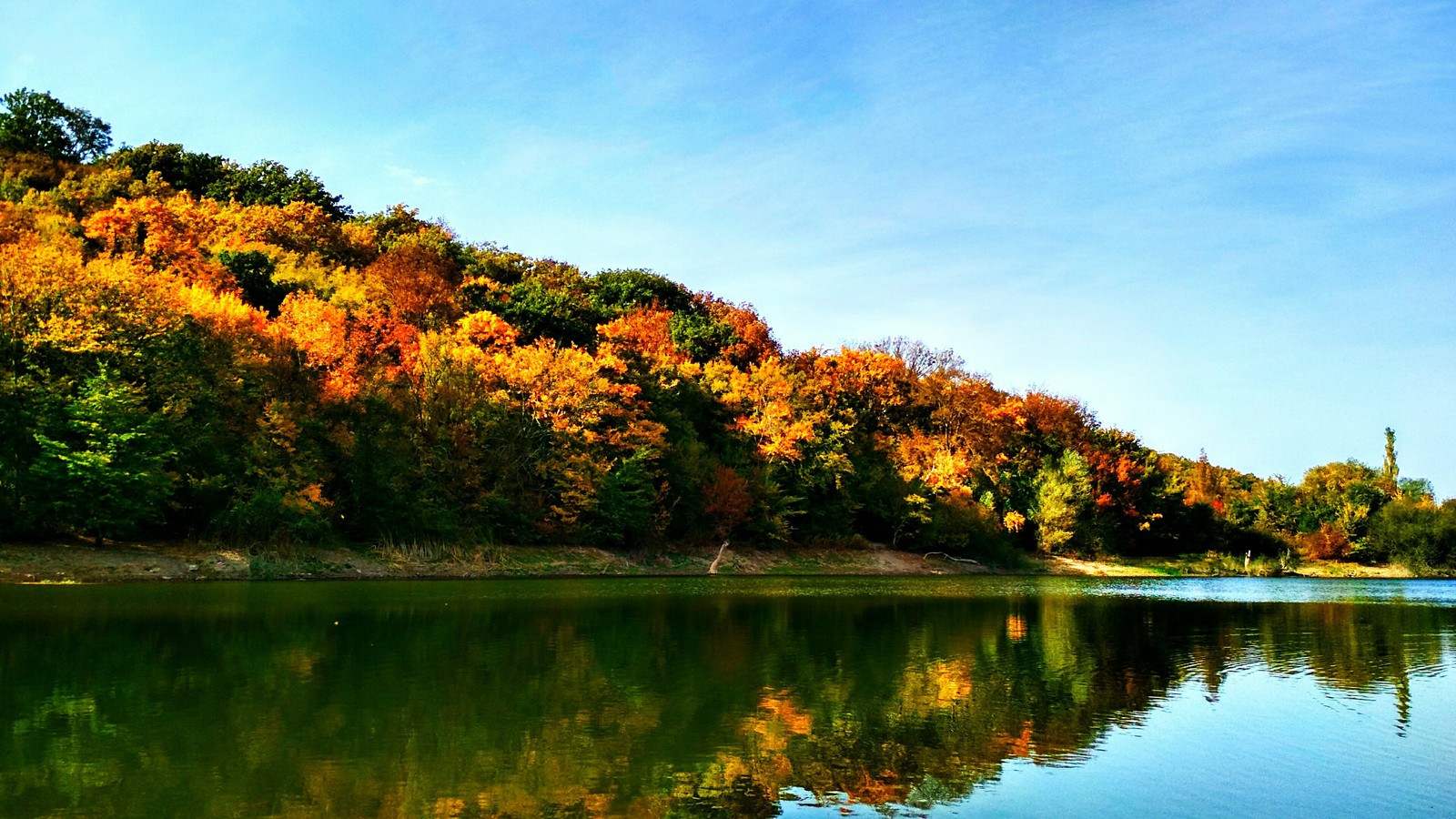 Autumn is full of colors. - My, The photo, Autumn, Forest, The nature of Russia