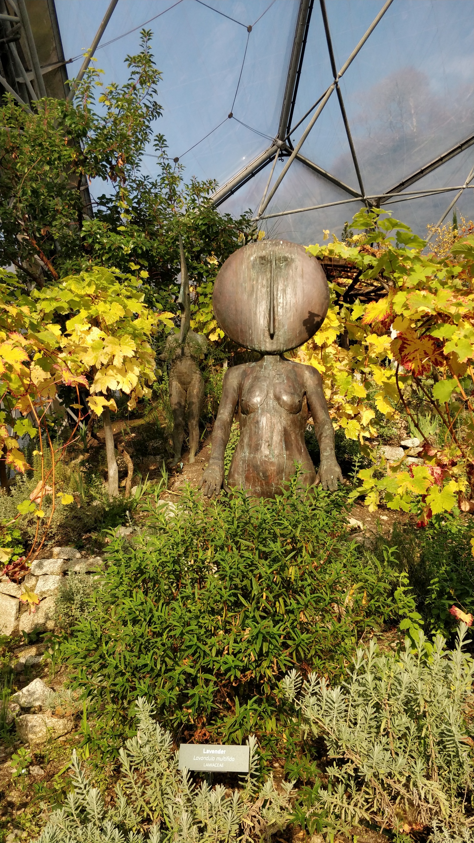 Eden project, скульптуры в Средиземноморском биоме - Моё, Корнуолл, Eden Project, Искусство, Дизайн, Длиннопост