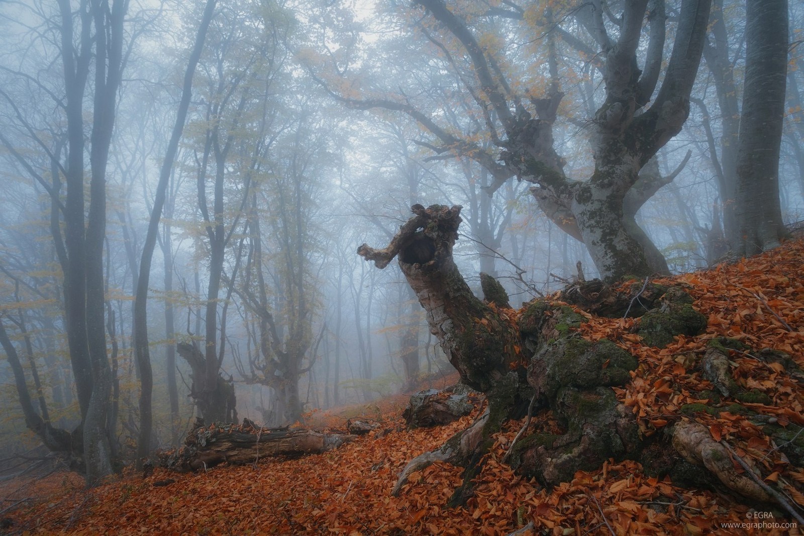 Crimea. The mountains. October. - Russia, Crimea, Nature, The mountains, Longpost