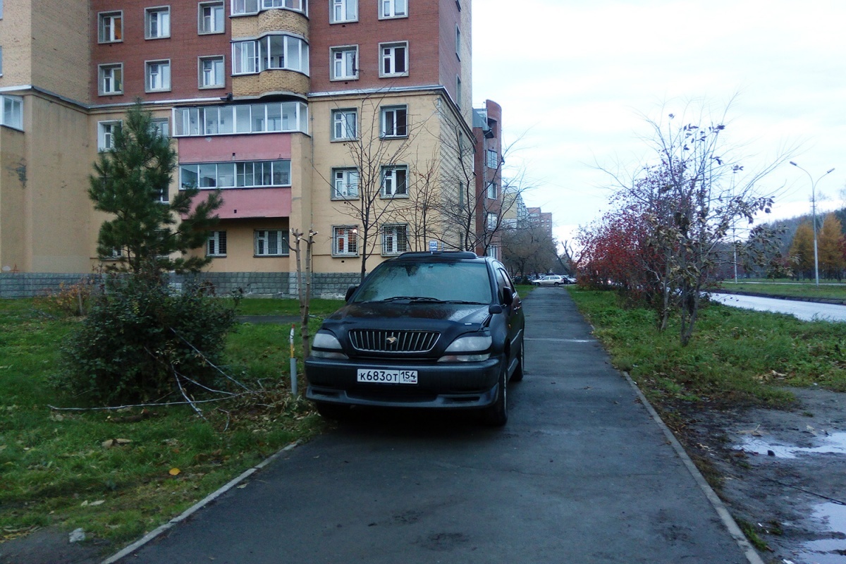 I park like a freak - Неправильная парковка, The photo, A selection, Longpost, Novosibirsk