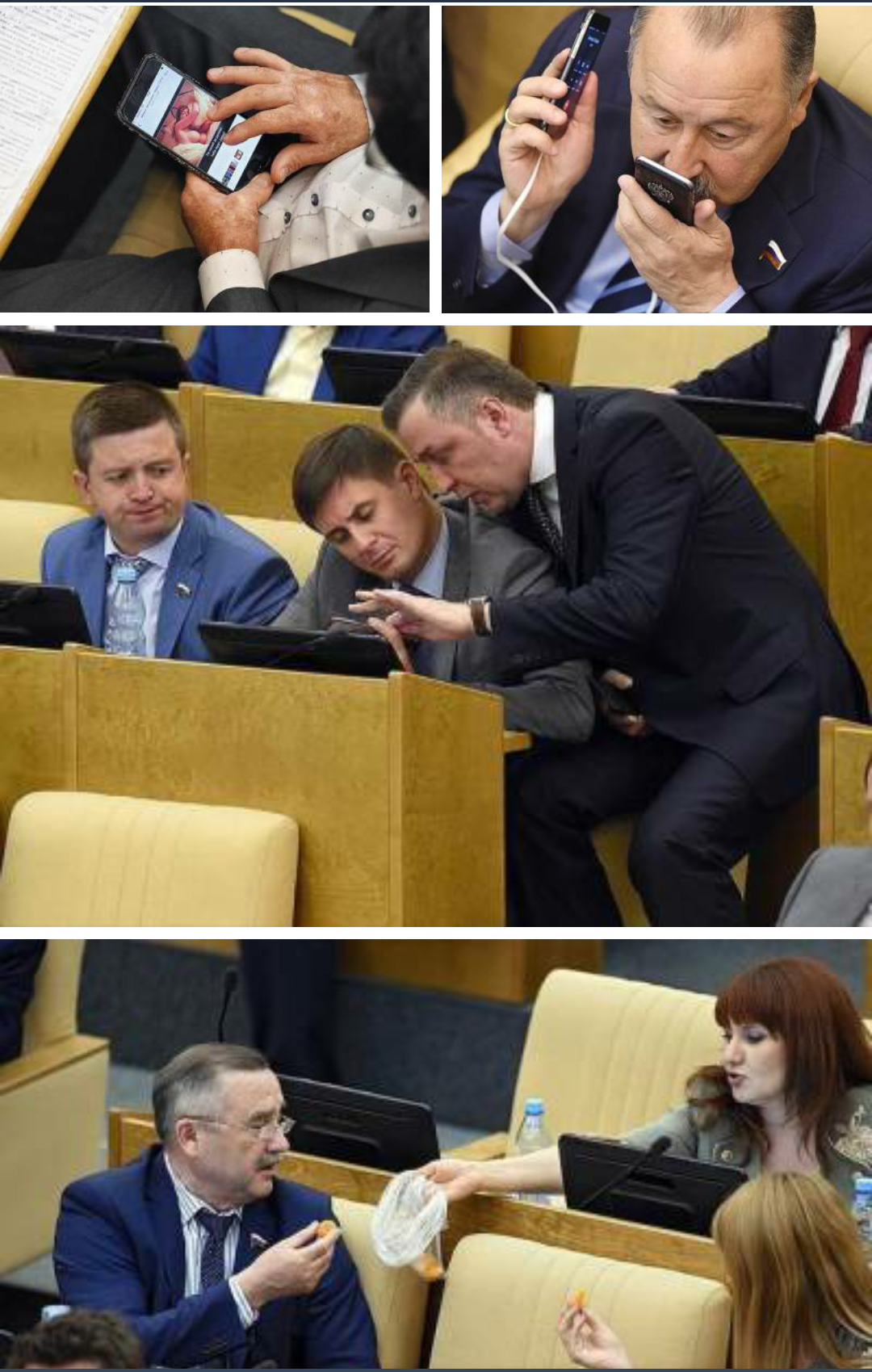 State Duma on tumbler - State Duma, Tumblr, Politics, Entertainment, Longpost