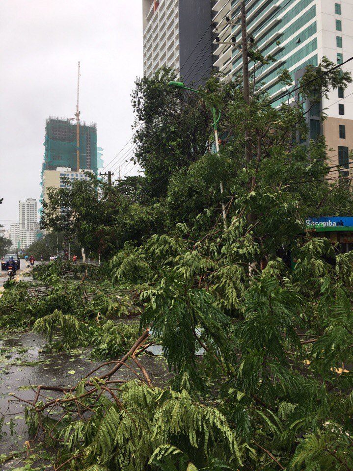 Typhoon Damri in Nha Trang (Vietnam) - Vietnam, Typhoon, Longpost