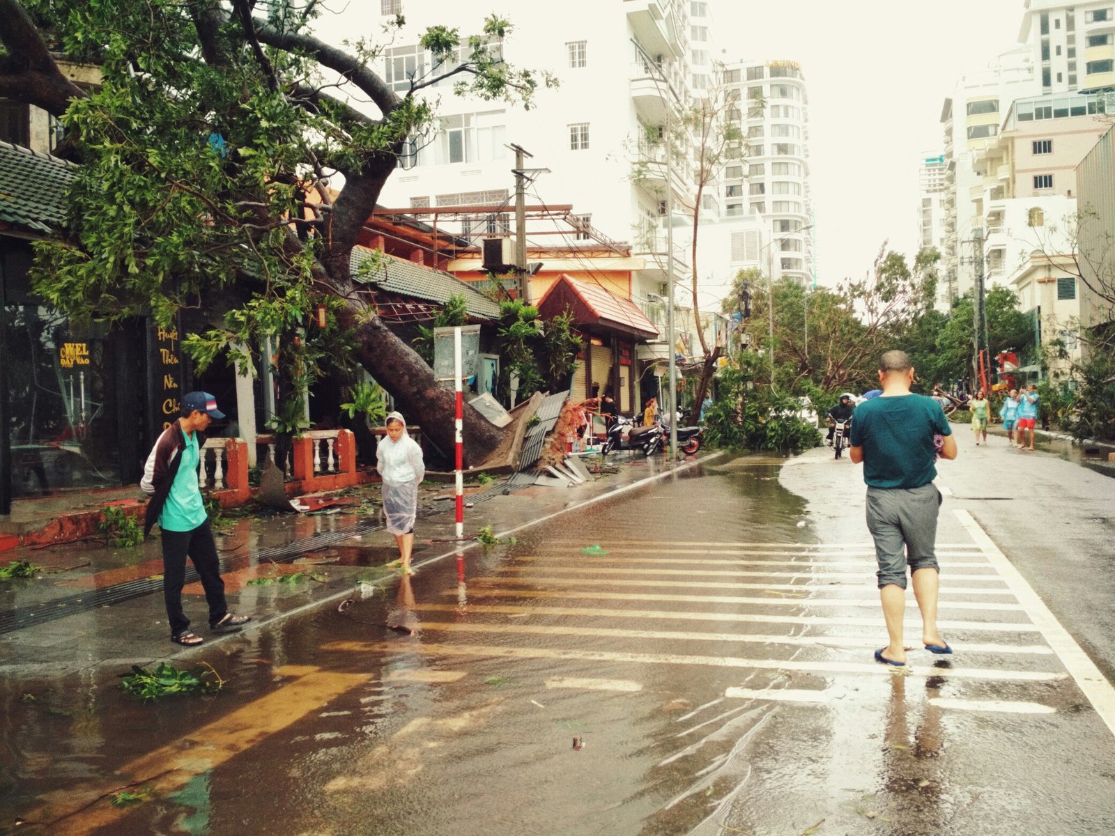 Typhoon Damri in Nha Trang (Vietnam) - Vietnam, Typhoon, Longpost