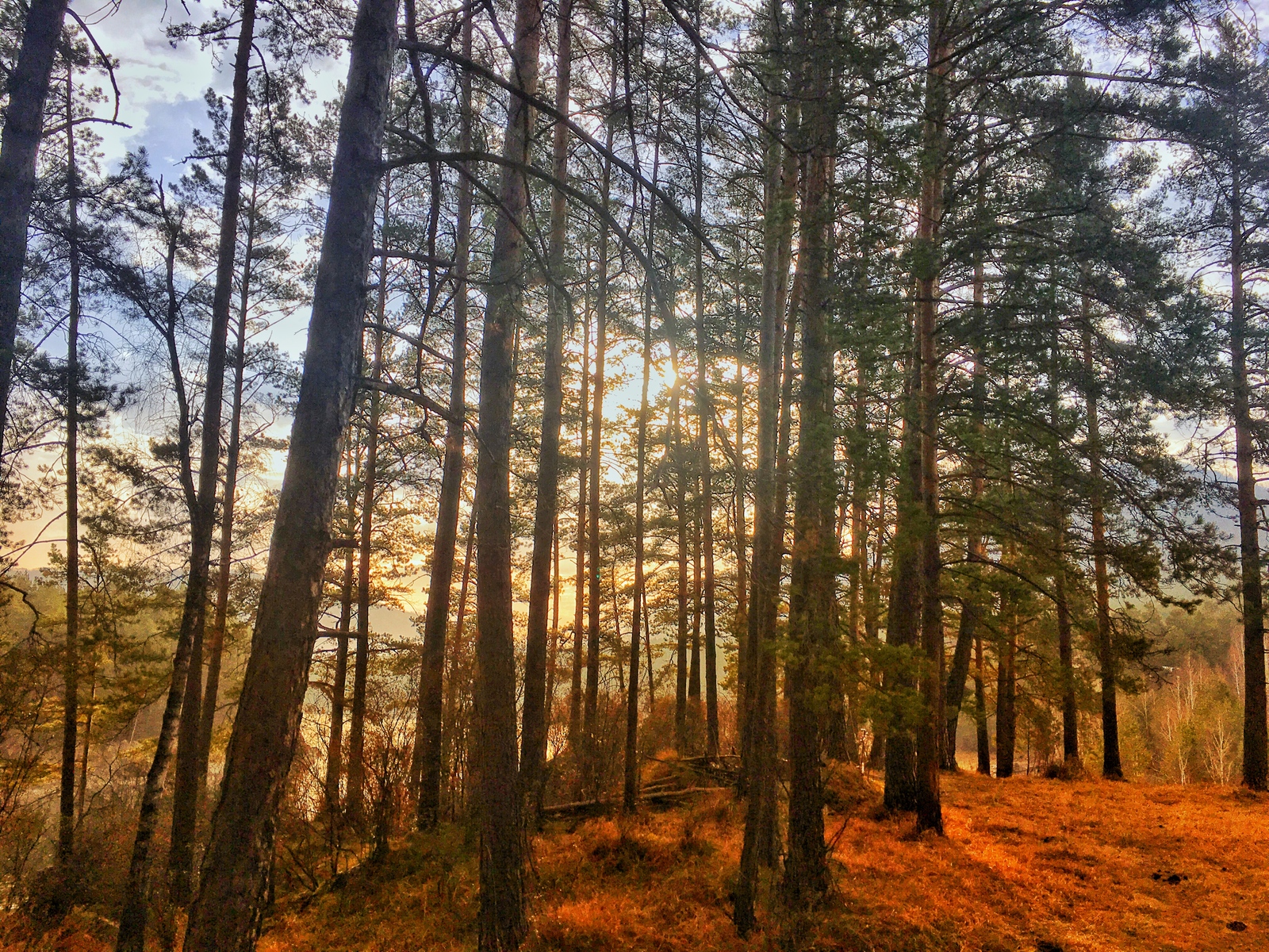 Autumn, Altai, Terraalta. How beautiful is this world! - My, , Altai, Mountain Altai, Longpost, Altai Republic