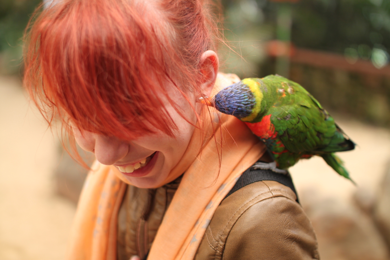 Walsrode Bird Park. - My, Birds, A parrot, Bird Park, Longpost